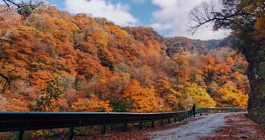 西来秦巴第一峰，云端之上龙头山